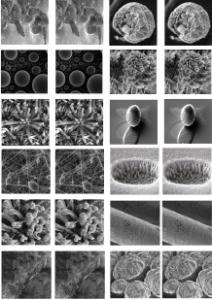 Pexeso s obrázky z elektronových mikroskopů (CEITEC)