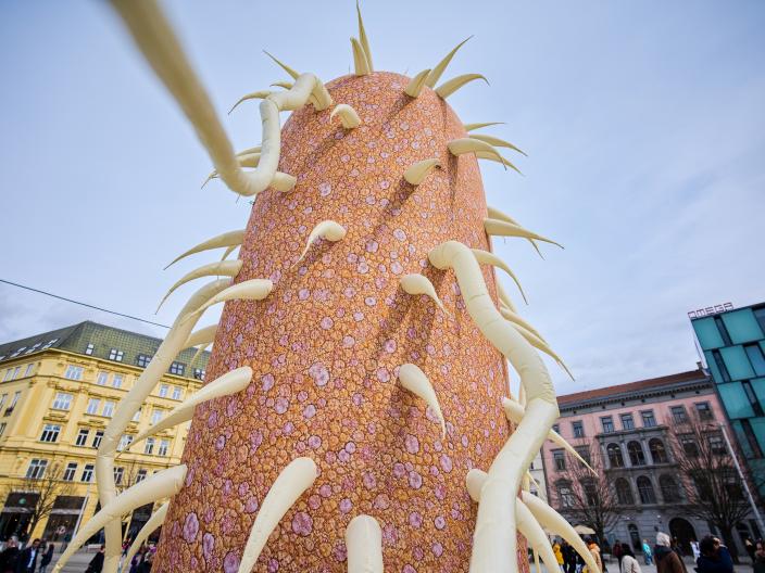 E. coli, celebrita našich střev