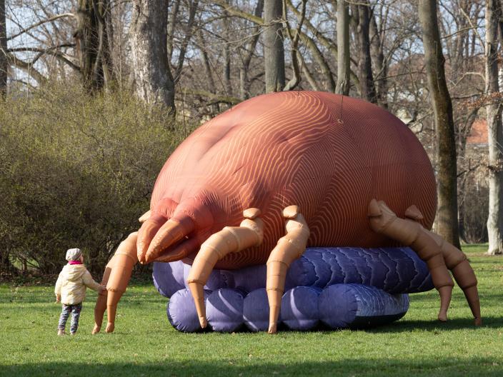 Seznamte se s roztoči…